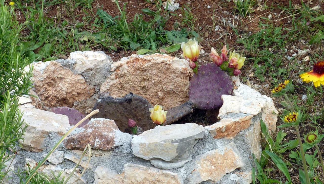 Palme Poreč
