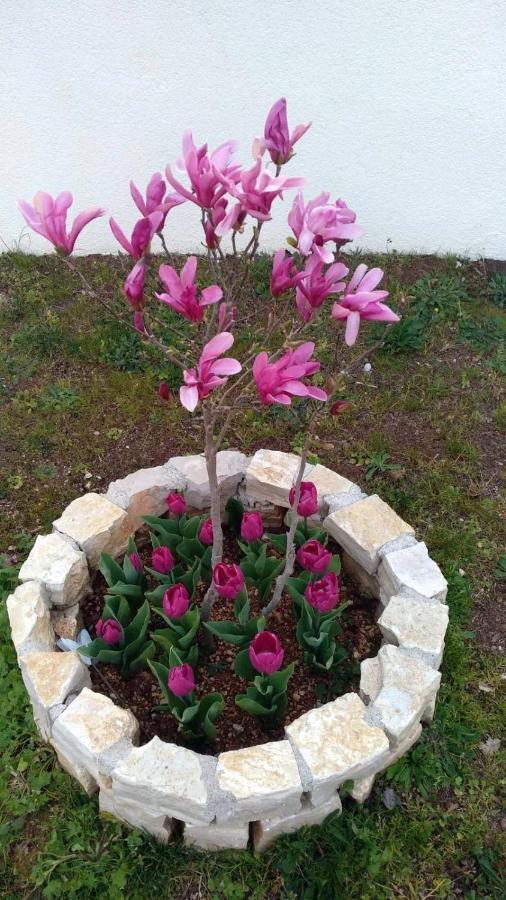 Ferienhaus Palme *